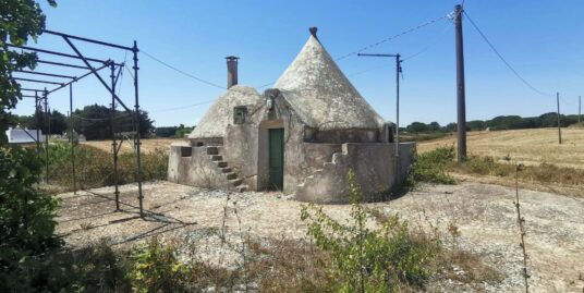 801 – Trulli e Terreno – C.da Lamia Vecchia – Martina franca